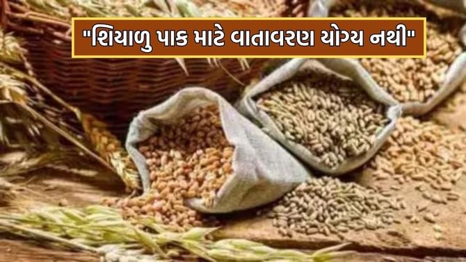 શિયાળુ પાક માટે યોગ્ય નથી વાતાવરણ- અંબાલાલ પટેલ