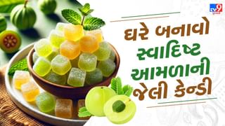 Homemade Amla Candy Recipe : વિટામીન સીથી ભરપૂર આમળાની જેલી કેન્ડી સરળતાથી ઘરે બનાવો, જુઓ તસવીરો