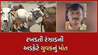 ભાવનગરમાં રખડતી રંઝાડનો ત્રાસ બેફામ, તંત્રની બેદરકારીના પાપે વધુ એક વ્યક્તિનો ગયો જીવ- Video