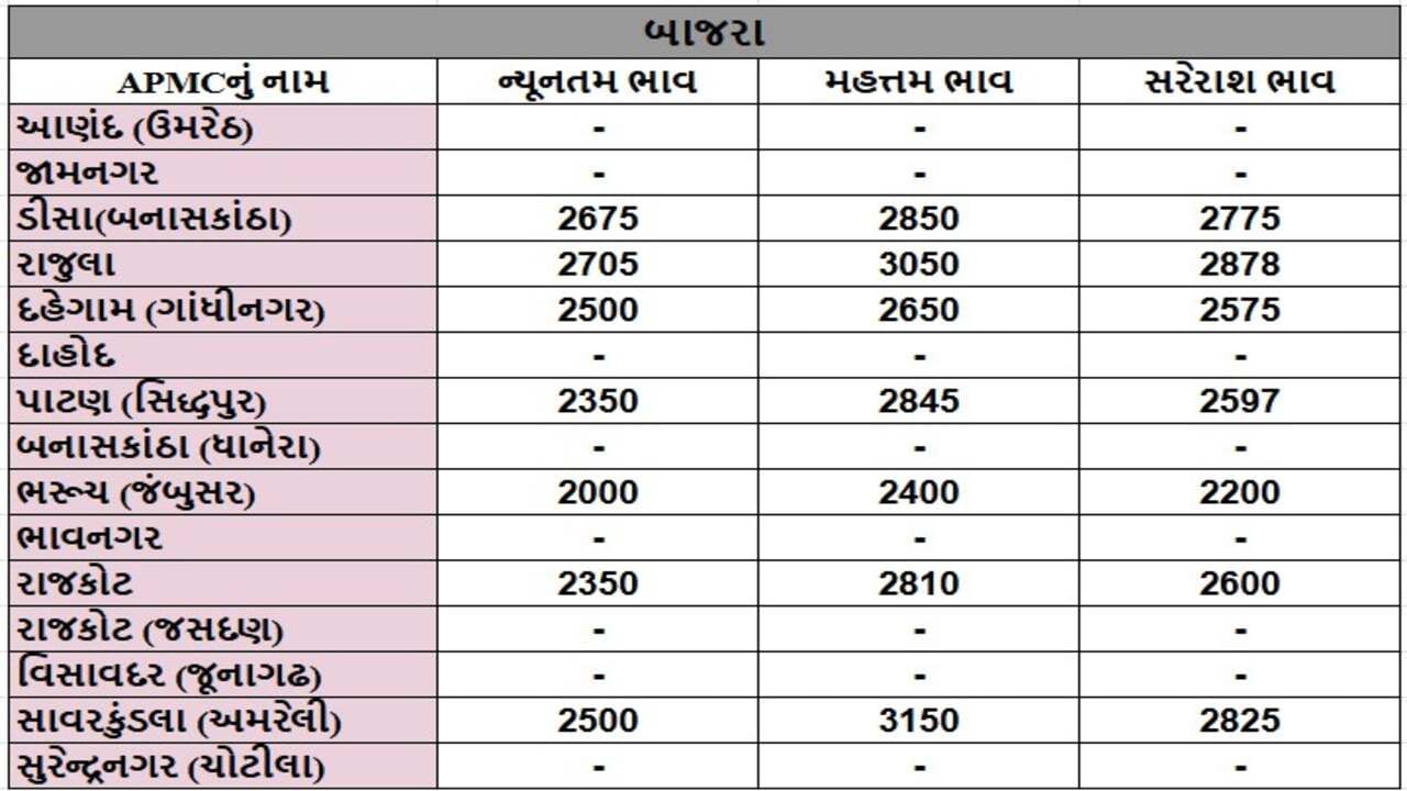 બાજરાના તા.18-11-2024ના રોજ APMCના ભાવ રૂ.2000 થી 3150 રહ્યા.