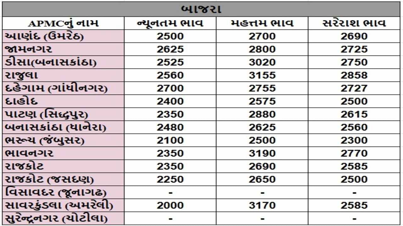 બાજરાના તા.19-11-2024ના રોજ APMCના ભાવ રૂ.2000 થી 3190 રહ્યા.