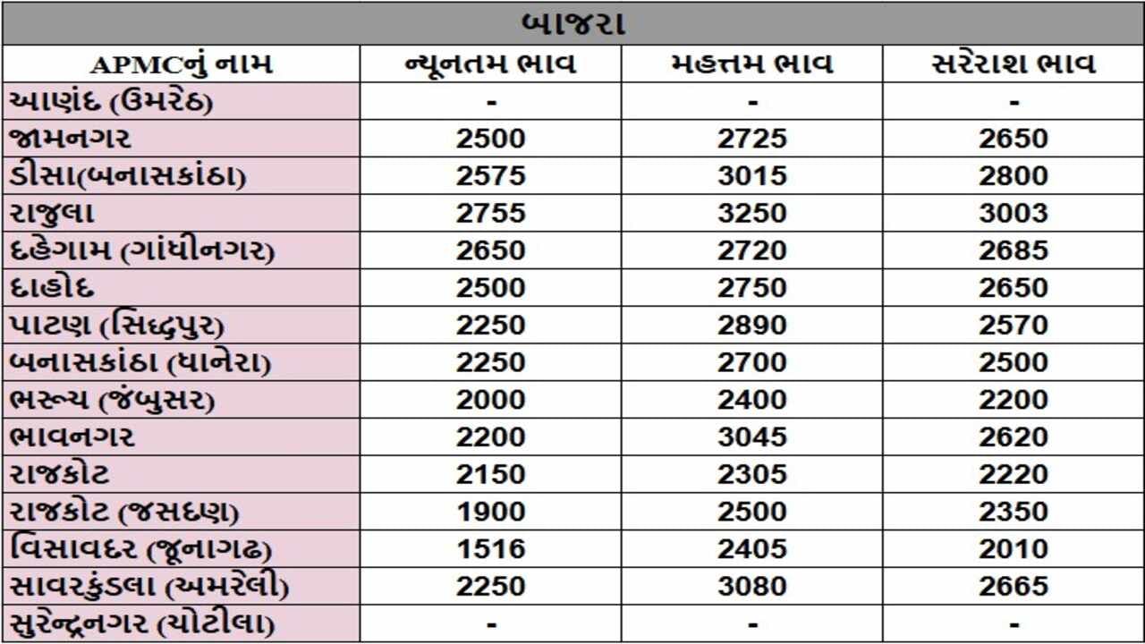 બાજરાના તા.26-11-2024ના રોજ APMCના ભાવ રૂ.1516 થી 3250 રહ્યા.