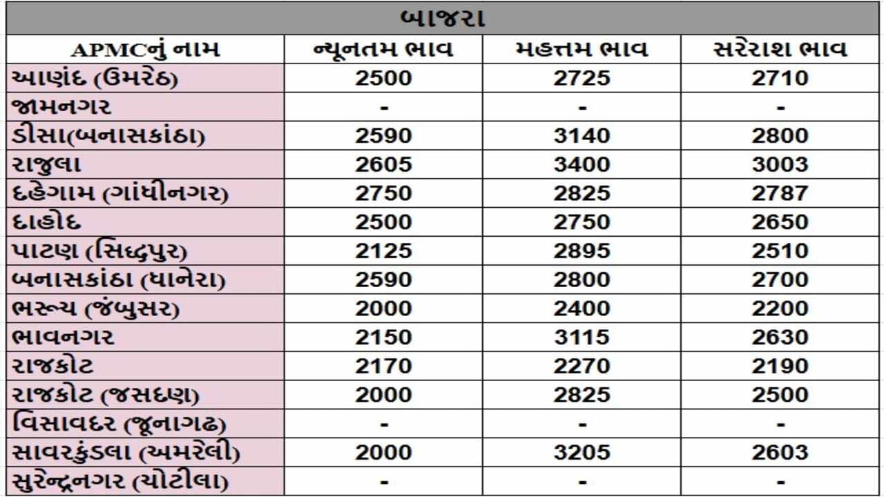 બાજરાના તા.27-11-2024ના રોજ APMCના ભાવ રૂ.2000 થી 3400 રહ્યા.