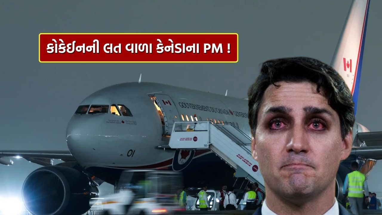 કેનેડાના PM ટ્રુડો નીકળ્યા કોકેઈનની લત વાળા, વિમાનમાં cocaine ભરી આવ્યા હતા ભારત ! થયો મોટો ખુલાસો