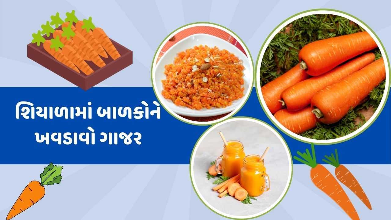 ગાજરમાં તમામ પ્રકારના ગુણ હોય છે. જે સ્વાસ્થ માટે ફાયદાકારક છે. શિયાળાની ઋતું ગાજરનું પુષ્કળ પ્રમાણમાં સેવન કરવું જોઈએ,ગાજરમાં અનેક વિટામિન અને એન્ટીઓક્સીડન્ટસ હોય છે. જે આંખ ,લિવર,કડની સહિત શરીરના અનેક અંગોને હેલ્ધી રાખવાનું કામ કરે છે.