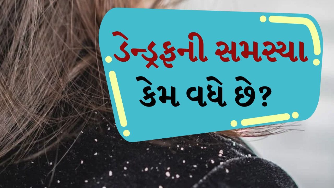 વાળમાં ડેન્ડ્રફ એ ખૂબ જ સામાન્ય પરંતુ મુશ્કેલીકારક સમસ્યા છે. જેના કારણે માથામાં ખંજવાળ અને વાળ ખરવાની સમસ્યા થઈ શકે છે. ડેન્ડ્રફની સમસ્યાથી છુટકારો મેળવવા માટે લોકો ઘણા પ્રકારના બ્યુટી પ્રોડક્ટ્સનો ઉપયોગ કરે છે અથવા ઘરેલું ઉપચાર અપનાવે છે. પરંતુ તેની કોઈ ખાસ અસર જોવા મળતી નથી. જ્યારે માથાની ચામડીમાં ભેજની ઉણપ હોય છે, ત્યારે તે શુષ્ક થવા લાગે છે અને તેનાથી ડેન્ડ્રફની સમસ્યા પણ થઈ શકે છે.
