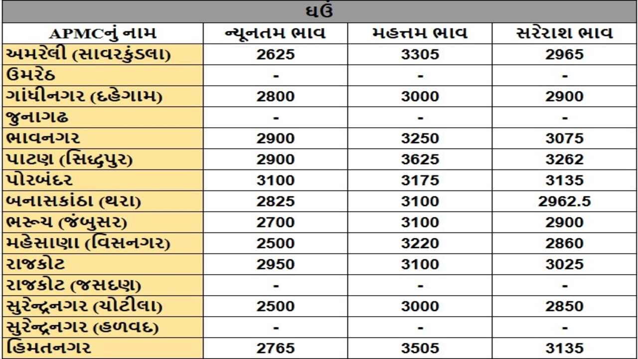 ઘઉંના તા.13-11-2024ના રોજ APMCના ભાવ રૂ.2500 થી 3625 રહ્યા.