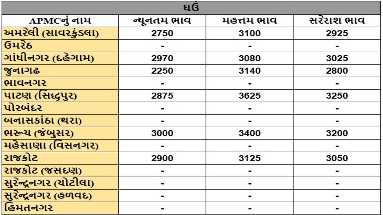 ઘઉંના તા.18-11-2024ના રોજ APMCના ભાવ રૂ.2250 થી 3625 રહ્યા.