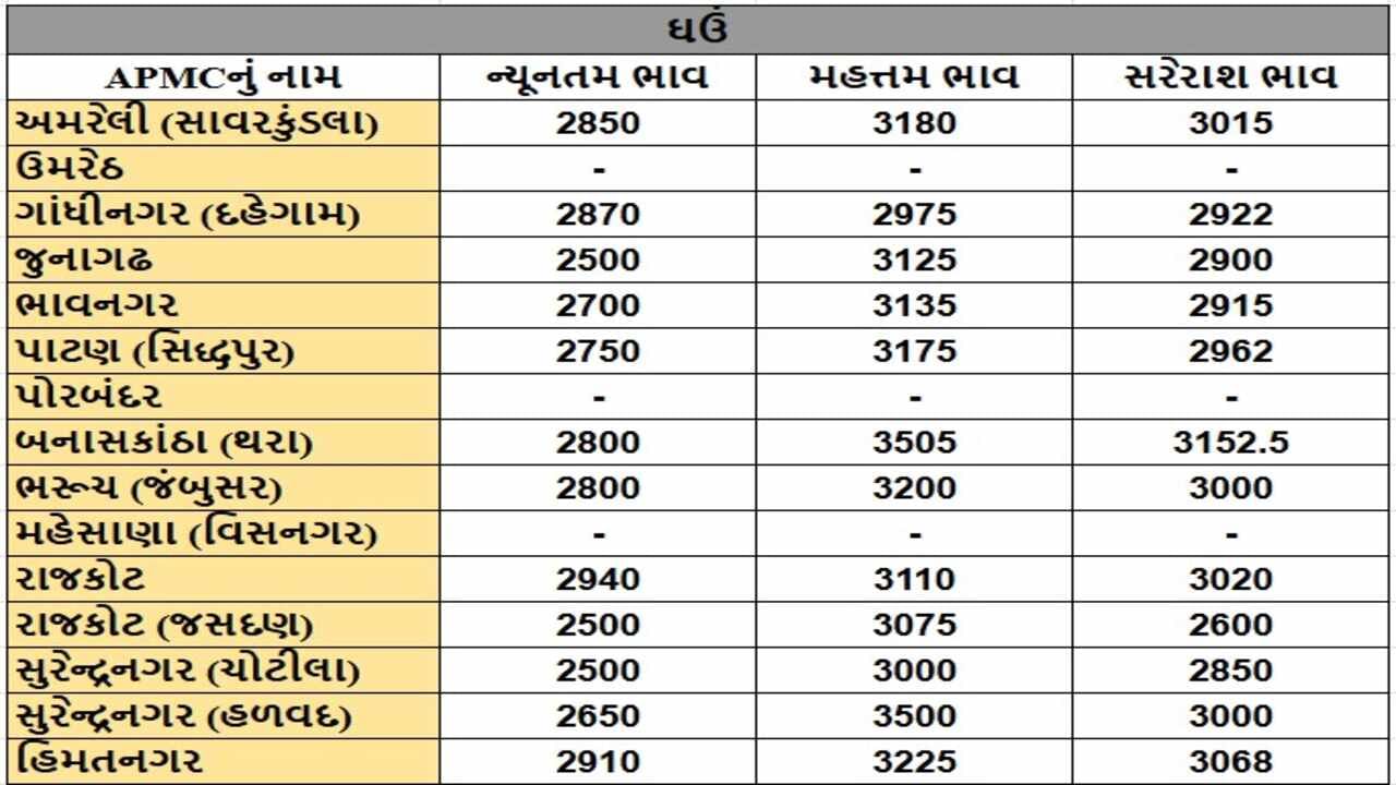 ઘઉંના તા.26-11-2024ના રોજ APMCના ભાવ રૂ.2500 થી 3505 રહ્યા.