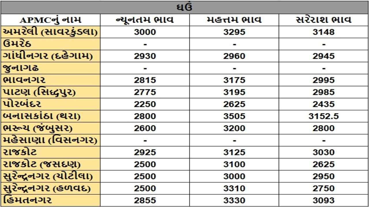 ઘઉંના તા.28-11-2024ના રોજ APMCના ભાવ રૂ.2250 થી 3505 રહ્યા.