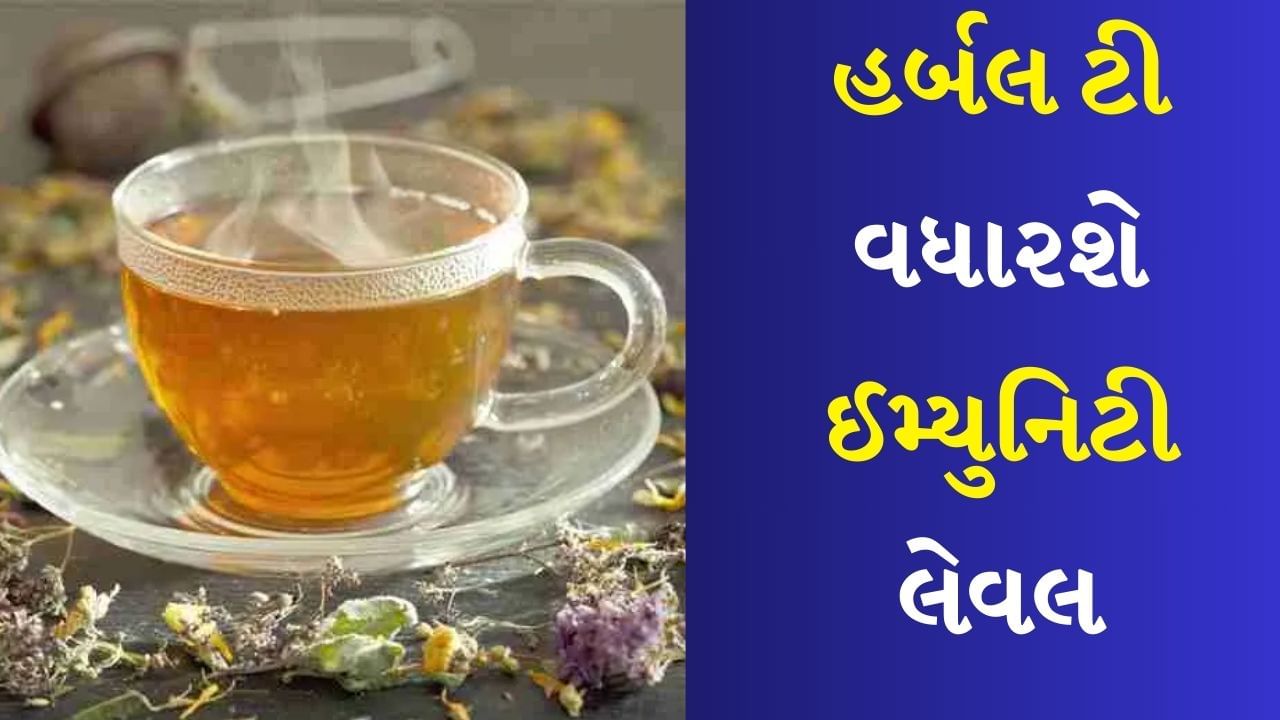 Herbal Tea : હવામાં ઓગળેલા ઝેરી કણો શરીરમાં પ્રવેશ કરે છે અને શ્વસન સંબંધી સમસ્યાઓને સૌથી વધુ ઉત્તેજિત કરે છે. જે લોકોને પહેલાથી જ અસ્થમા છે તે લોકોને વધુ સમસ્યાઓનો સામનો કરવો પડે છે. હાલમાં તમે તમારા આહારમાં કેટલીક ચાનો સમાવેશ કરી શકો છો જે એન્ટીઑકિસડન્ટો અને એન્ટીઈન્ફ્લામેટરી ગુણધર્મોથી ભરપૂર હોય છે.
