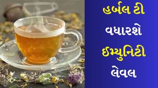 Herbal Tea : આ 4 પ્રકારની ચા વધારશે ઈમ્યુનિટી લેવલ, હવાના પ્રદુષણ સામે લડવામાં થશે મદદરુપ