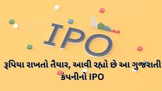 25 નવેમ્બરથી ખુલશે આ ગુજરાતી કંપનીનો IPO, પ્રાઇસ બેન્ડની થઇ જાહેરાત