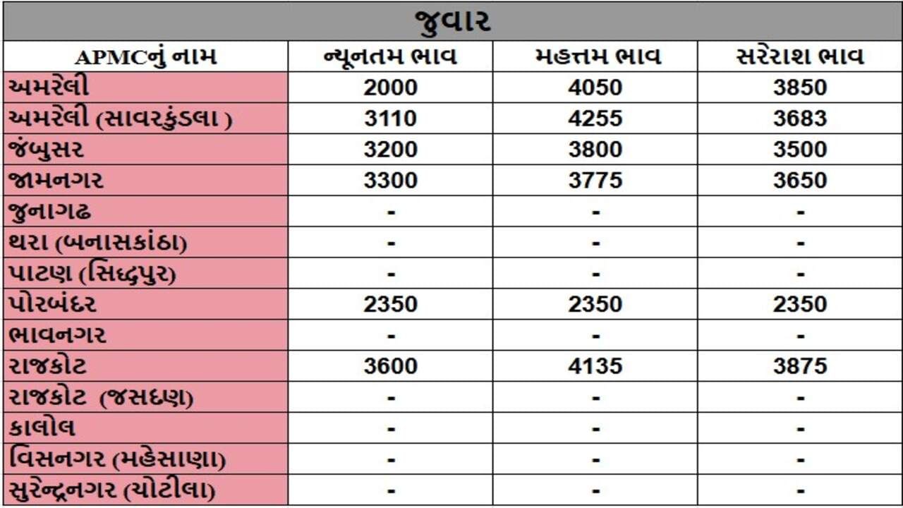 જુવારના તા.13-11-2024ના રોજ APMCના ભાવ રૂ.2000 થી 4135 રહ્યા.