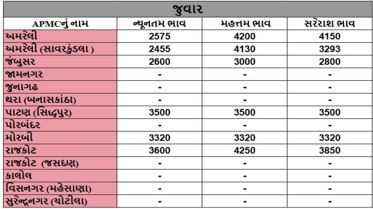 જુવારના તા.18-11-2024ના રોજ APMCના ભાવ રૂ.2455 થી 4200 રહ્યા.