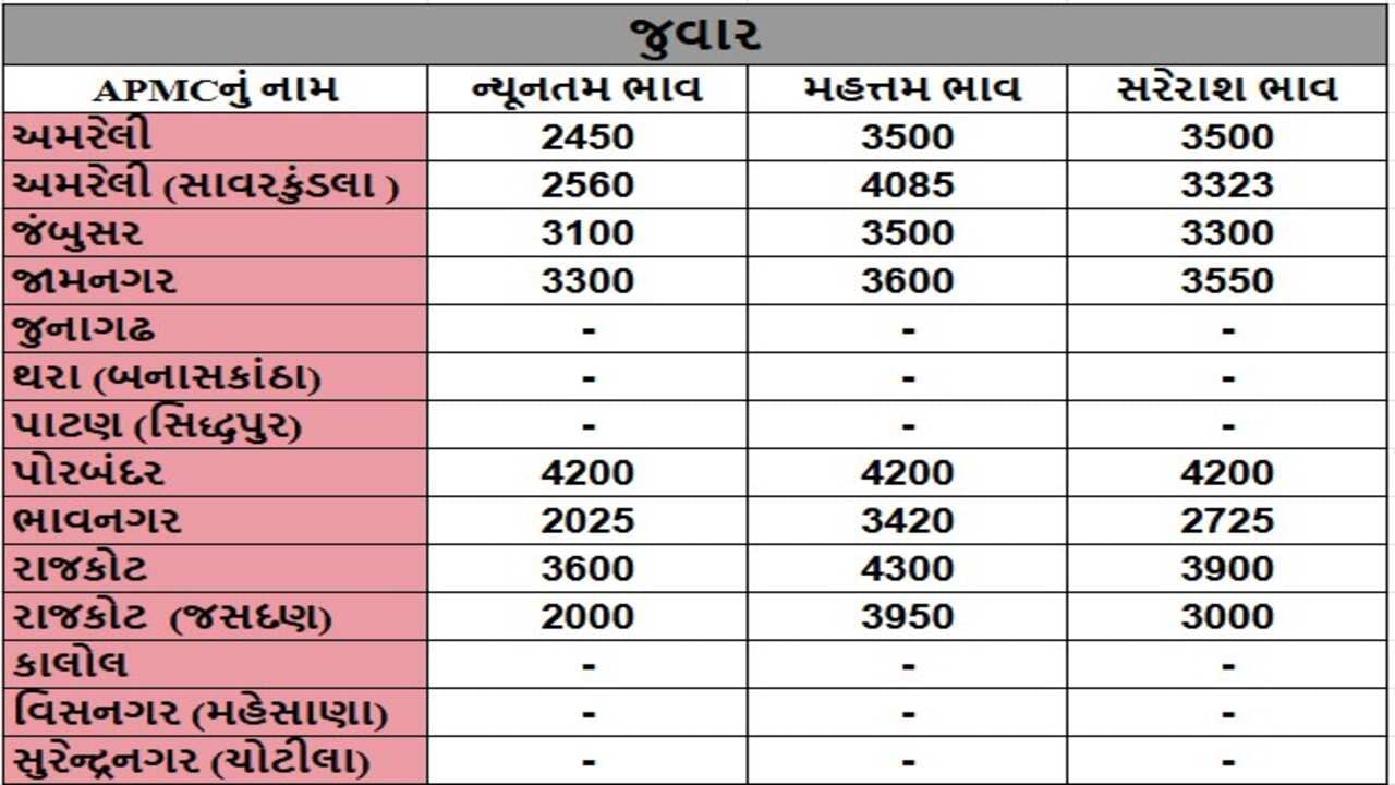 જુવારના તા.19-11-2024ના રોજ APMCના ભાવ રૂ.2000 થી 4300 રહ્યા.