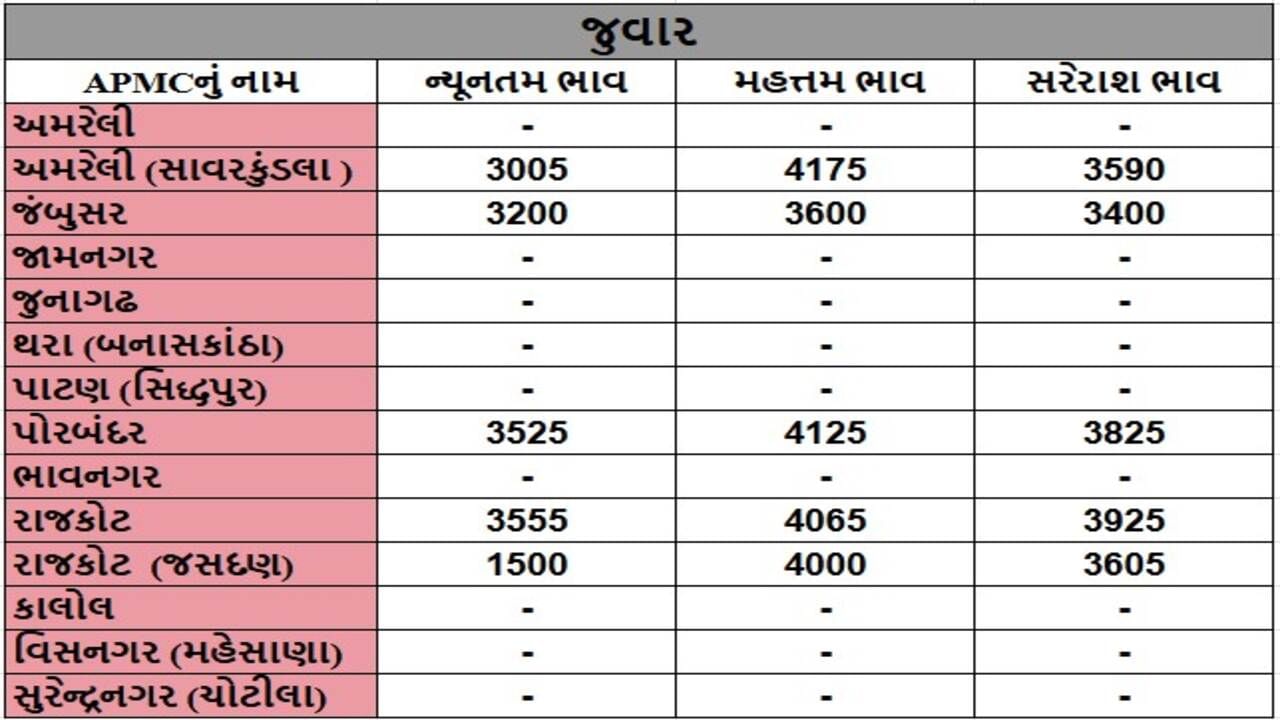 જુવારના તા.20-11-2024ના રોજ APMCના ભાવ રૂ.1500 થી 4175 રહ્યા.