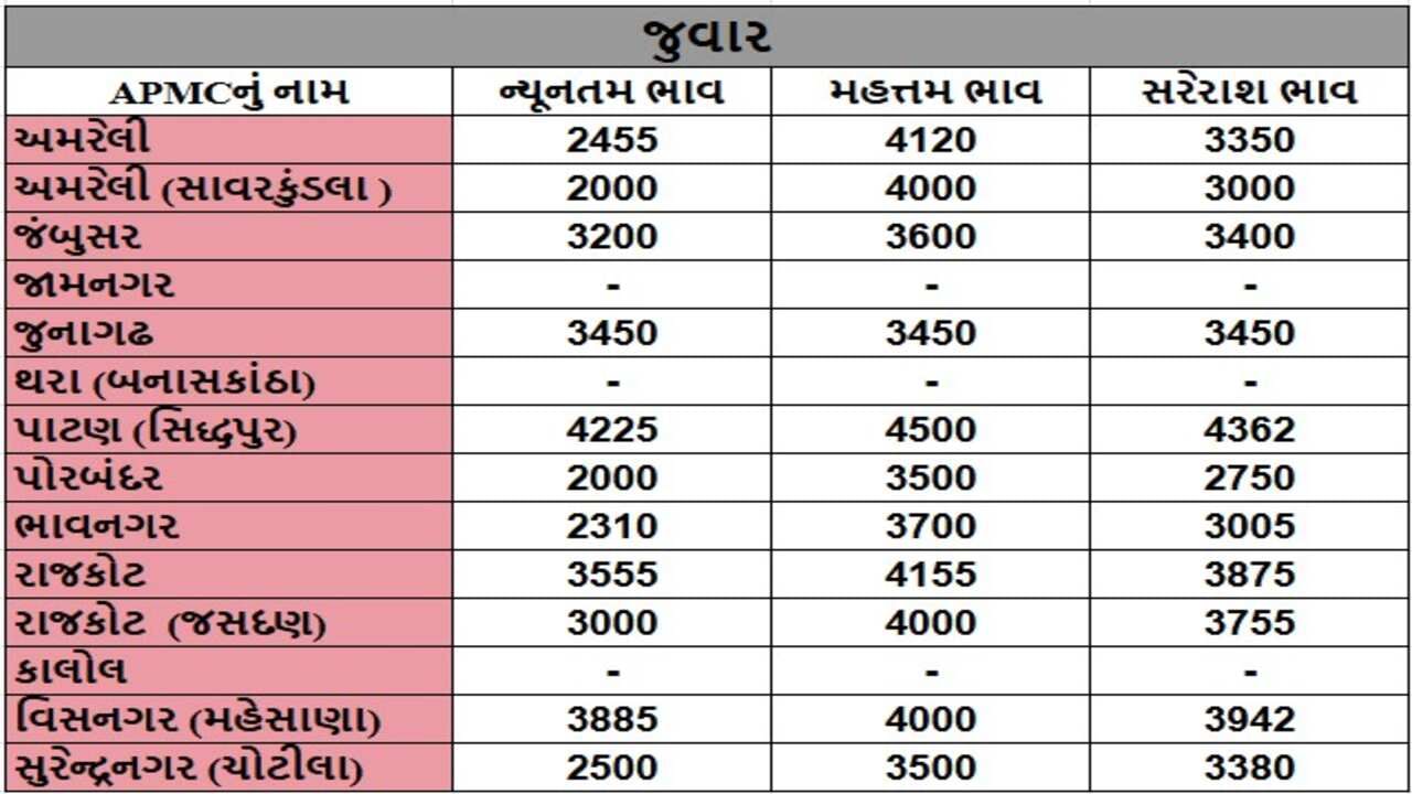 જુવારના તા.27-11-2024ના રોજ APMCના ભાવ રૂ.2000 થી 4500 રહ્યા.