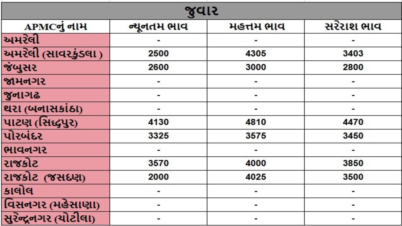 જુવારના તા.28-11-2024ના રોજ APMCના ભાવ રૂ.2000 થી 4810 રહ્યા.