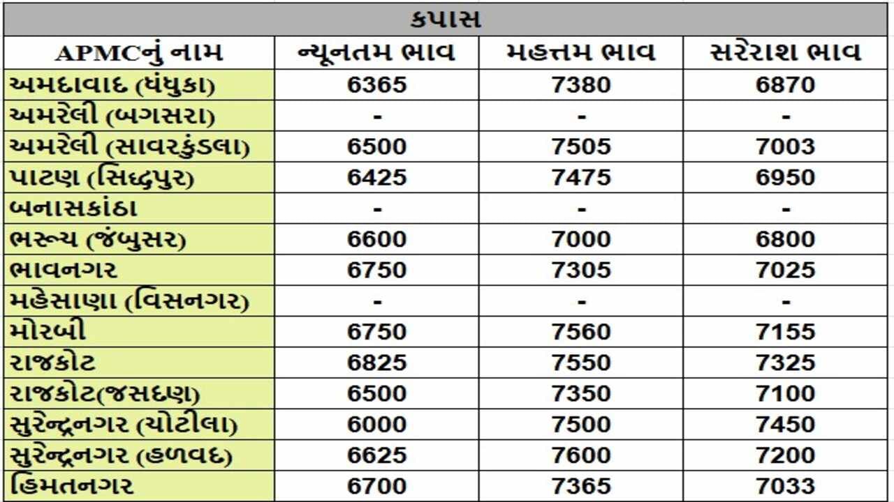 કપાસના તા.19-11-2024ના રોજ APMCના ભાવ રૂ.6000 થી 7600 રહ્યા.