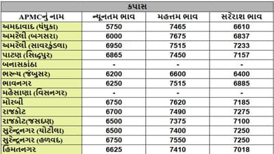 કપાસના તા.22-11-2024ના રોજ APMCના ભાવ રૂ.5750 થી 7675 રહ્યા.