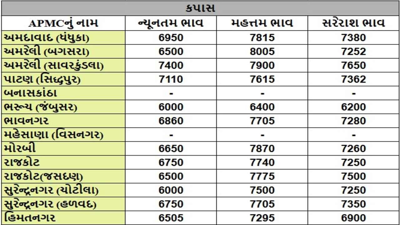 કપાસના તા.12-11-2024ના રોજ APMCના ભાવ રૂ.6000 થી 8005 રહ્યા.