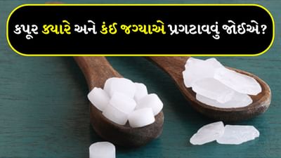 Vastu tips : હિન્દુ ધર્મમાં કપૂરનું ઘણું મહત્વ છે. જેનો સદીઓથી પૂજા અને આધ્યાત્મિક કાર્યોમાં ઉપયોગ થતો આવ્યો છે. પૂજા પછી આરતી અને હવનમાં કપૂરનો ઉપયોગ આવશ્યકપણે થાય છે. આ સિવાય કપૂરનો ઉપાય પણ જ્યોતિષમાં ખૂબ જ અસરકારક માનવામાં આવ્યો છે. ભગવાનને પ્રસન્ન કરવા માટે કપૂરનો ઉપયોગ એક આવશ્યક પૂજા સામગ્રી છે. કપૂર આરતી અને હવન દ્વારા નેગેટિવ એનર્જીની અસર દૂર થાય છે. કપૂર બાળવાથી વાતાવરણમાં રહેલા નાનામાં નાના કીટાણુઓ પણ નાશ પામે છે અને લોકોને રોગોથી મુક્તિ મળે છે.