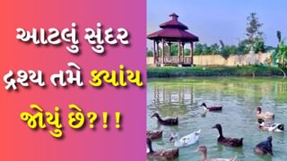 જાણીતા કવિ કુમાર વિશ્વાસનું જુઓ ફાર્મ હાઉસ, કહેશો – ‘વાહ ક્યા બાત હૈ’, જોવા મળશે મનમોહક દ્રશ્ય, જુઓ વીડિયો