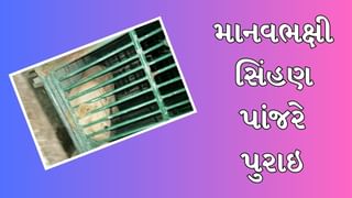 Amreli : સિંહણે વધુ એક બાળકીને બનાવી પોતાનો શિકાર, વન વિભાગે આખી રાત મથી માનવભક્ષી સિંહણને પાંજરે પુરી, જુઓ Video