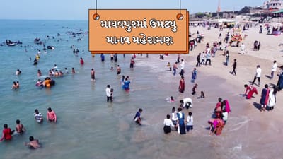 Porbandar : ભાઈબીજના દિવસે માધવપુરમાં માનવ મહેરામણ ઉમટ્યુ, આ દિવસે દરિયામાં સ્નાનનું અનોખુ મહત્વ, જુઓ Video Porbandar : ભાઈબીજના દિવસે માધવપુરમાં માનવ મહેરામણ ઉમટ્યુ, આ દિવસે દરિયામાં સ્નાનનું અનોખુ મહત્વ, જુઓ Video