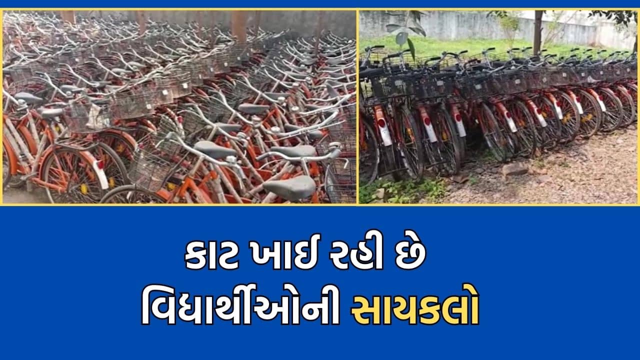 મહુવામાં વિદ્યાર્થીઓને આપવાની સાયકલનો જથ્થો બન્યો ભંગાર, બે વર્ષ વિતવા છતા વિદ્યાર્થીઓને લાભથી રખાયા વંચિત-Video