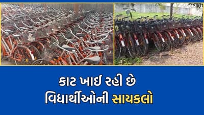 મહુવામાં વિદ્યાર્થીઓને આપવાની સાયકલનો જથ્થો બન્યો ભંગાર, બે વર્ષ વિતવા છતા વિદ્યાર્થીઓને લાભથી રખાયા વંચિત-Video