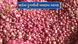 Rajkot: ધોરાજી માર્કેટિંગ યાર્ડમાં ડુંગળીની મબલખ આવક, પ્રથમ દિવસે જ 2 હજાર બોરીની આવક નોંધાઈ