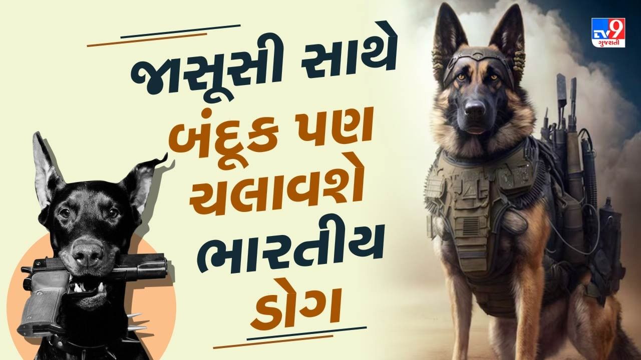 પાકિસ્તાન અને ચીનના સૈનિકો સાથેના યુદ્ધમાં હવે ભારતીય ડોગ કરશે હુમલો, જાસૂસી સાથે બંદૂક પણ ચલાવશે