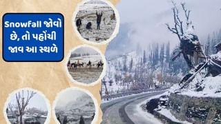 Travel tips : Snowfall જોવો છે તો પહોંચી જાવ આ સ્થળે, અહીં ચારે બાજુ બરફના ડુંગર જોવા મળશે