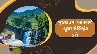 Travel Tips :  ન્યુયર સેલિબ્રેટ કરવા માટે પહોંચી જાવ ગુજરાતના આ સ્થળે, દર વર્ષે લાખો પ્રવાસી આ સ્થળની લે છે મુલાકાત