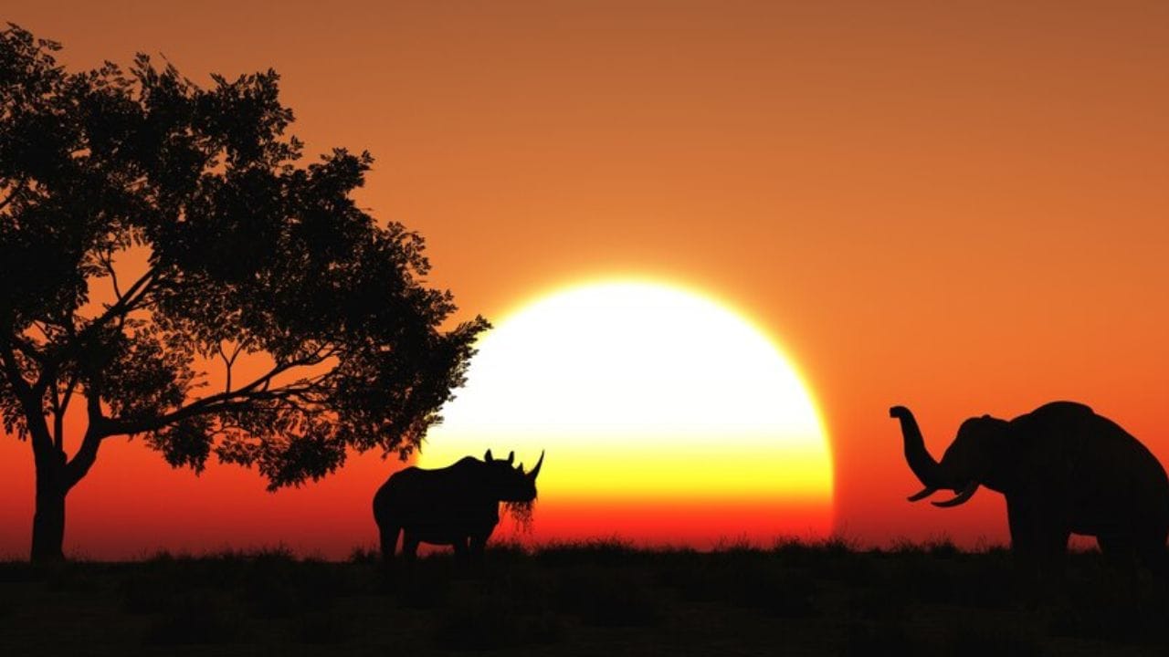 જ્યારે સૂર્ય ક્ષિતિજની નજીક હોય છે, ત્યારે તેના કિરણો પૃથ્વીના વાતાવરણીય સ્તરમાંથી લાંબા અંતરે જાય છે અને સૂર્યપ્રકાશ વધુ ફેલાય છે, જેના કારણે તે વધુ લાલ, નારંગી અથવા ગુલાબી દેખાય છે. (Image - Freepik)