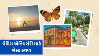 Travel Tips : વેડિંગ એનિવર્સરી માટે બેસ્ટ છે ગુજરાતના આ સ્થળો, આ બીચ તો ગોવાને ટકકર મારે છે