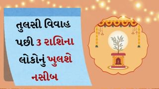 Tulsi Vivah 2024 : તુલસી વિવાહના દિવસથી આ રાશિ માટે શુભ સમયની થશે શરૂઆત, આ એક શુભ સંયોગ હશે