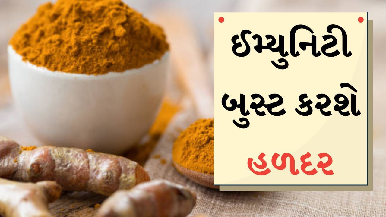 Turmeric Uses in Winter : શિયાળાની ઋતુ દસ્તક આપી રહી છે. કેટલાક લોકોને શિયાળાની ઋતુ ખૂબ જ ગમે છે, પરંતુ તે તેની સાથે અનેક પડકારો લઈને આવે છે. ખાસ કરીને જે લોકોની રોગપ્રતિકારક શક્તિ નબળી છે તેઓએ તેમના સ્વાસ્થ્ય પર વધુ ધ્યાન આપવાની જરૂર છે. આવા લોકો શરદી અને વાઇરલની સમસ્યાથી ઝઝૂમતા રહે છે.
