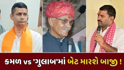 કમળ vs 'ગુલાબ'માં બેટ મારશે બાજી ! વાવ વિધાનસભાની પેટાચૂંટણીના પ્રચાર પડઘમ થયા શાંત