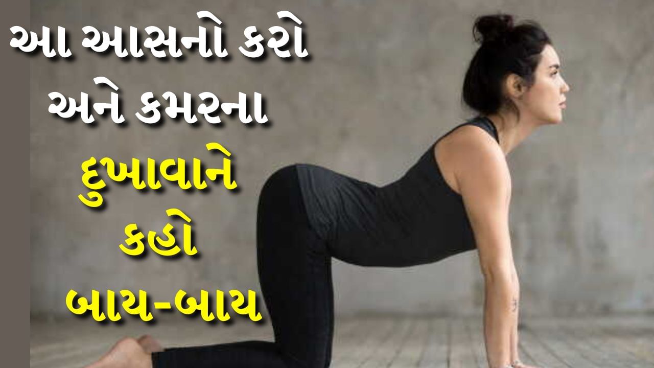 Yoga Poses For Back Pain : ઘણી વખત સફાઈ માટે ભારે વસ્તુઓ વાળવી કે ઉપાડવી પડે છે. આ સિવાય ખોટી સ્થિતિમાં બેસવાથી કમરનો દુખાવો થવો એ સામાન્ય સમસ્યા છે. જેના કારણે આખો દિવસ બેસવું પણ મુશ્કેલ બની જાય છે. આવી સ્થિતિમાં કેટલાક યોગાસનો મદદરૂપ થઈ શકે છે. કારણ કે તે સ્નાયુઓને આરામ આપે છે અને તેમની ફ્લેક્સિબિલીટી વધારે છે.
