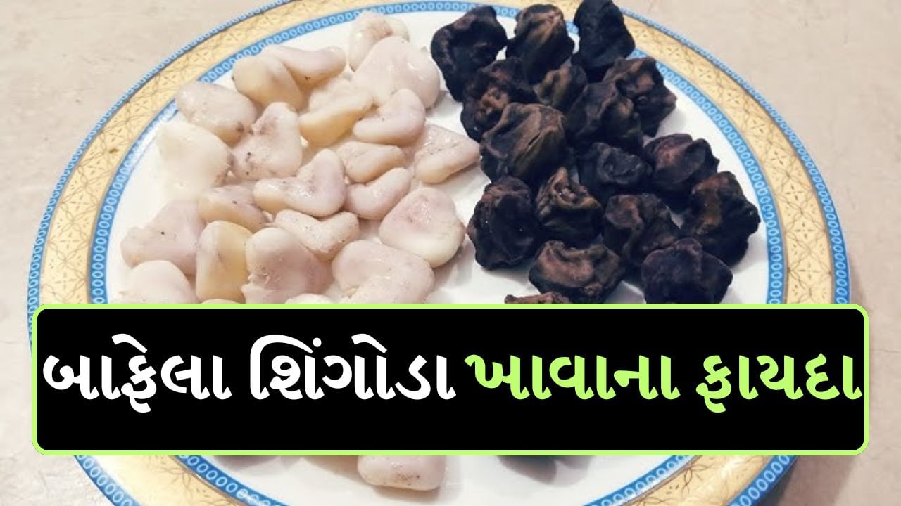 Water Chestnut Benefits : સિંગોડાની સીઝન પણ શિયાળા દરમિયાન શરૂ થાય છે. શાકભાજીની સાથે સિંગોડા પણ જોવા મળે છે. તેને પાણીનું ફળ પણ કહેવામાં આવે છે. સિંગોડા સ્વાસ્થ્ય માટે ઘણી રીતે ફાયદાકારક છે. મોટાભાગના લોકો ઉપવાસ દરમિયાન તેને ખાવાનું પસંદ કરે છે. તેમજ કેટલાક લોકો તેને ઉકાળીને એટલે કે બાફીને ખાય છે.
