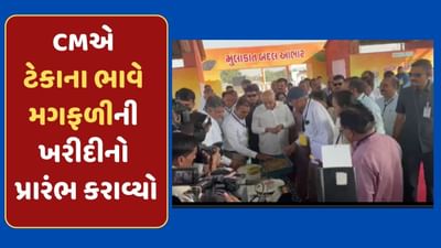 ગુજરાત CM ભૂપેન્દ્ર પટેલે ટેકાના ભાવે મગફળીની ખરીદીનો પ્રારંભ કરાવ્યો, જુઓ-Video ગુજરાત CM ભૂપેન્દ્ર પટેલે ટેકાના ભાવે મગફળીની ખરીદીનો પ્રારંભ કરાવ્યો, જુઓ-Video