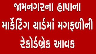 હાપા માર્કેટીંગ યાર્ડમાં મગફળીની રેકોર્ડબ્રેક આવક, જુઓ વીડિયો