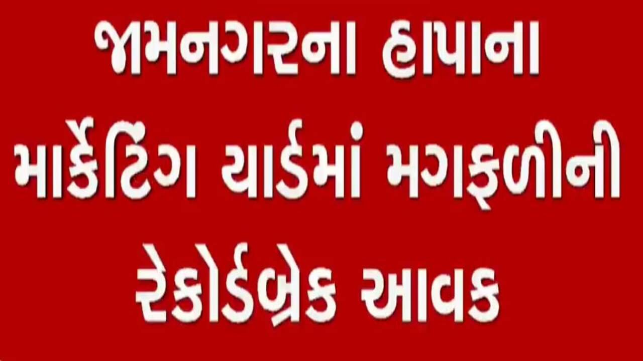 હાપા માર્કેટીંગ યાર્ડમાં મગફળીની રેકોર્ડબ્રેક આવક, જુઓ વીડિયો