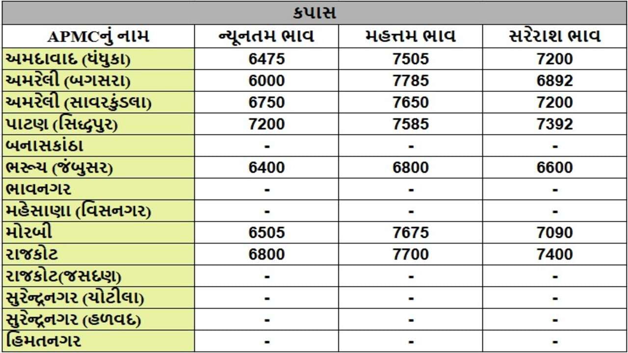 કપાસના તા.18-11-2024ના રોજ APMCના ભાવ રૂ.6000 થી 7785 રહ્યા.