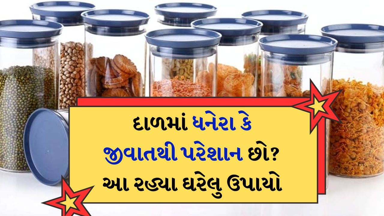 મસાલાની જેમ કઠોળ પણ આપણા રસોડાનો આવશ્યક ભાગ છે. પરંતુ કઠોળ રોજ તૈયાર થતા નથી. આવી સ્થિતિમાં લાંબો સમય રહેવાને કારણે તે બગડી જાય છે એટલે કે દાળમાં જંતુઓનો ચેપ લાગે છે. આવી સ્થિતિમાં તમામ કઠોળને ફેંકી દેવા સિવાય બીજો કોઈ વિકલ્પ નથી. પરંતુ કઠોળમાં ધનેરા અથવા જંતુઓ એટલે પડે છે કે દાળમાં ભેજ હોય છે.
