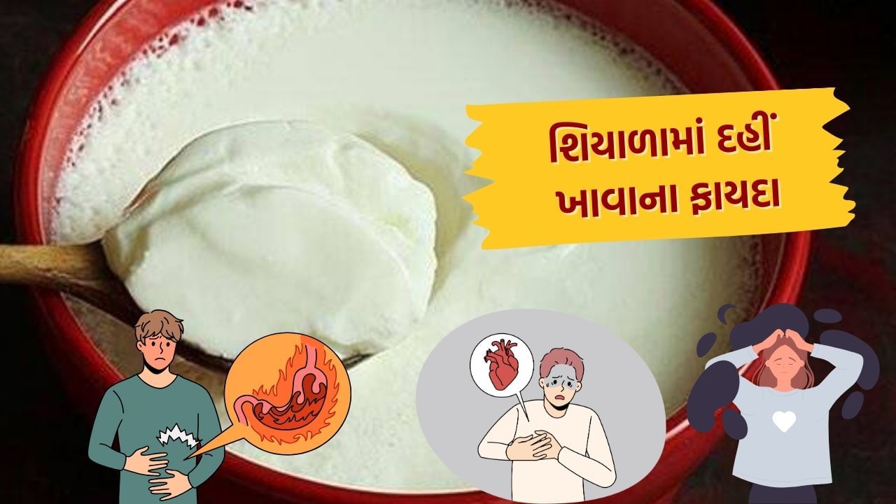 શિયાળામાં દહીંનું સેવન કરવું ખૂબ જ ફાયદાકારક માનવામાં આવે છે, પરંતુ તેને રૂમ ટેમ્પરેચર પર રાખ્યા પછી જ ખાઓ અને ધ્યાન રાખો કે તેને સાંજે કે રાત્રે ન ખાઓ. 