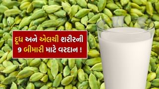 Milk with Elaichi: લીલી એલચીને દૂધમાં મિક્સ કરીને પીવાથી આ 9 મોટી બીમારીમાં મળશે રાહત, જાણો વિગત